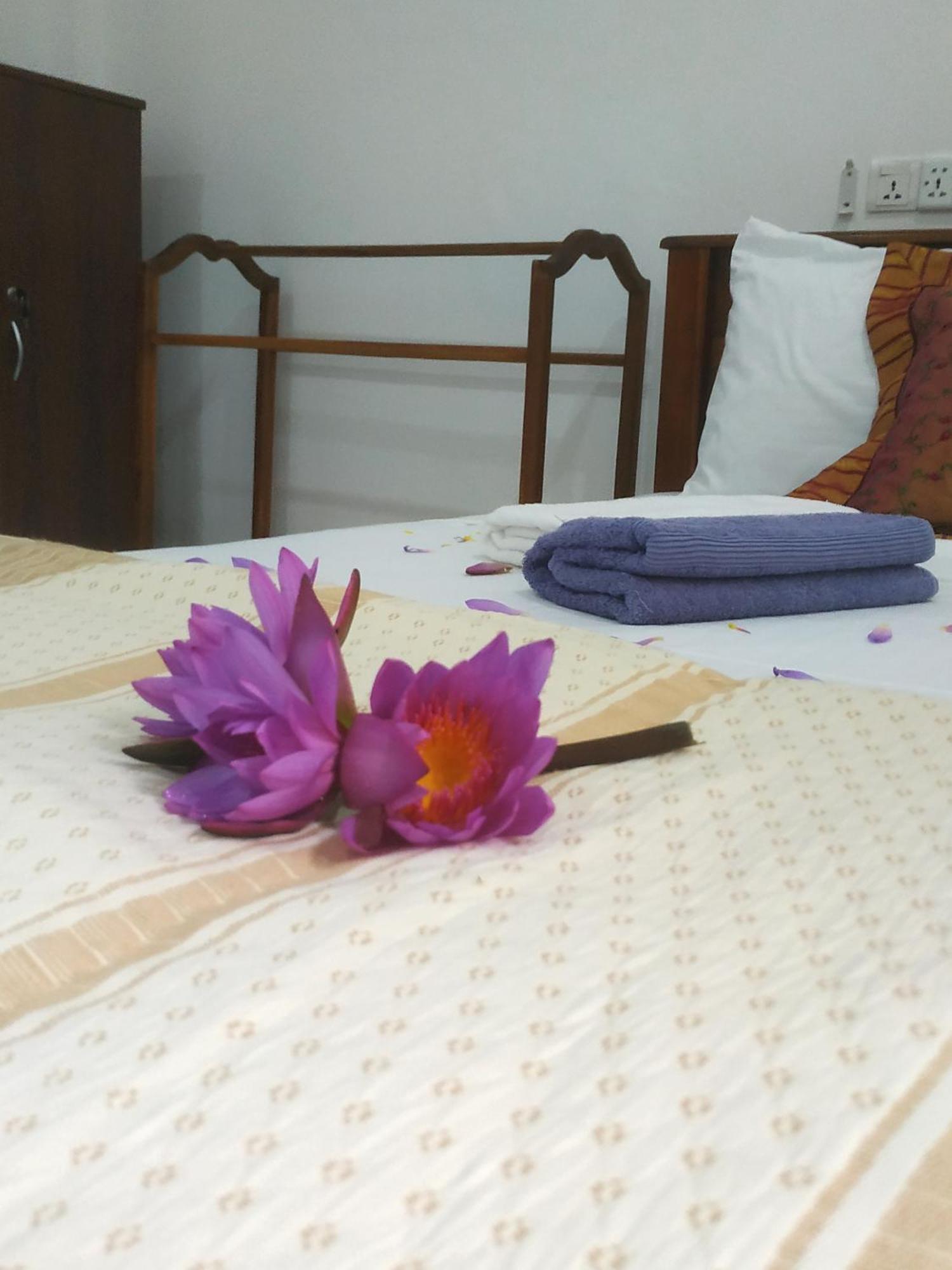 Four Seasons Safari Resort Udawalawa Udawalawe Εξωτερικό φωτογραφία